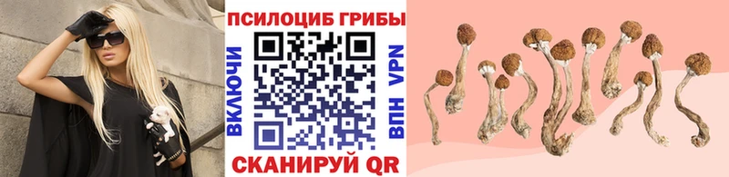 Галлюциногенные грибы Psilocybe купить наркотики сайты kraken онион Курск
